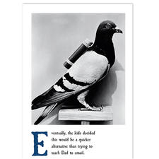 Carrier Pigeon