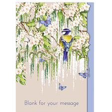 Blank Message Blue Bird
